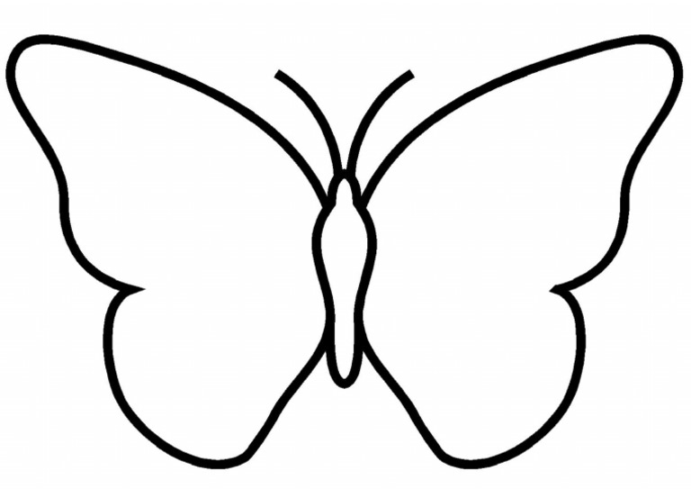 Papillon Symétrie Peinture | PDF