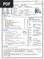 Possessive Adjectives Grammar Drills