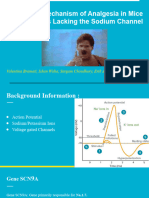 A Central Mechanism of Analgesia in Mice and Humans Lacking The Sodium Channel Na 1.7: An Analysis