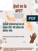 ¿Qué Es La APS