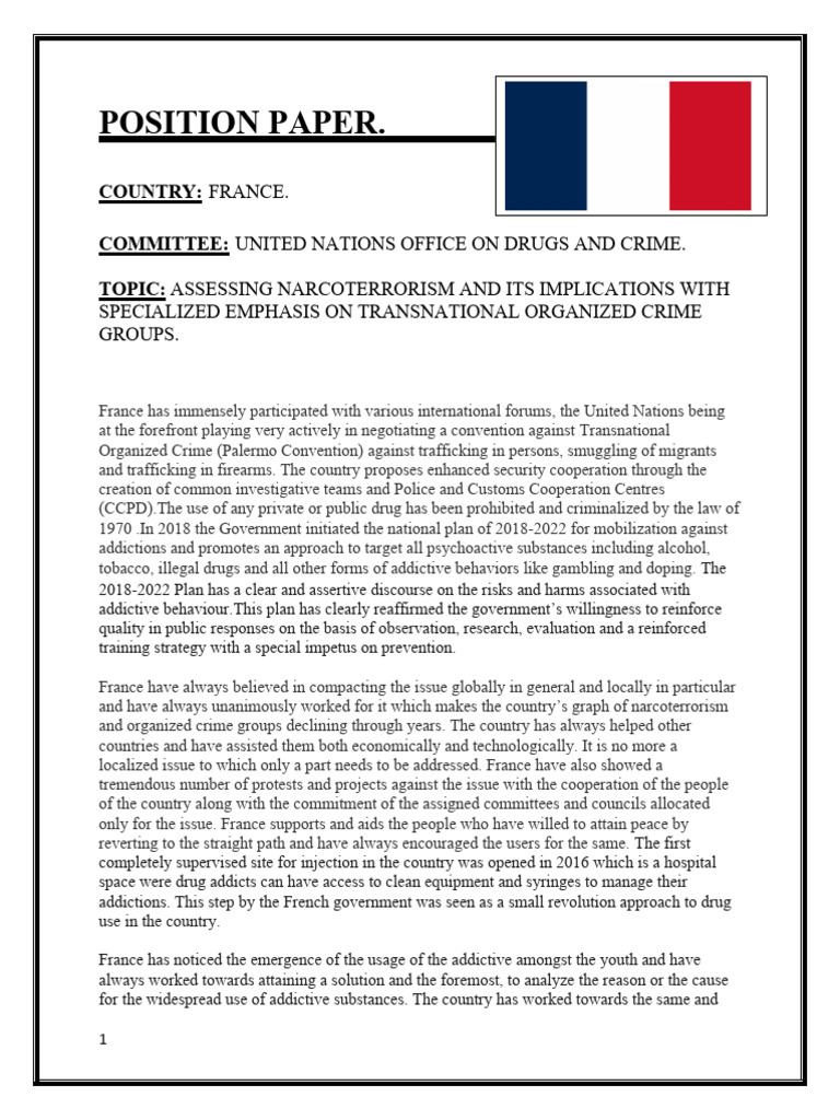 Position Paper Sample for France | PDF