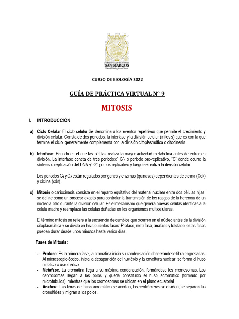 Sem 9 - Guia - Práctica - Mitosis | PDF | Mitosis | Ciclo celular