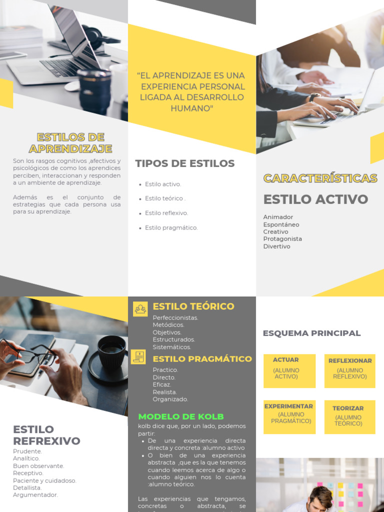 Estilos de Aprendizaje: Cognición y Estrategias | PDF | Aprendizaje ...