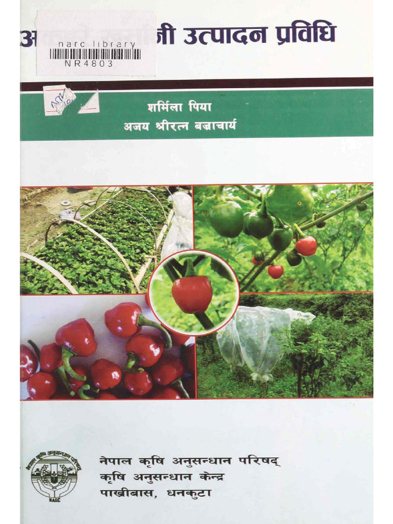 Akabare Chilli | PDF
