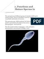Structure, Functions and Types of Mature Sperms in Animals