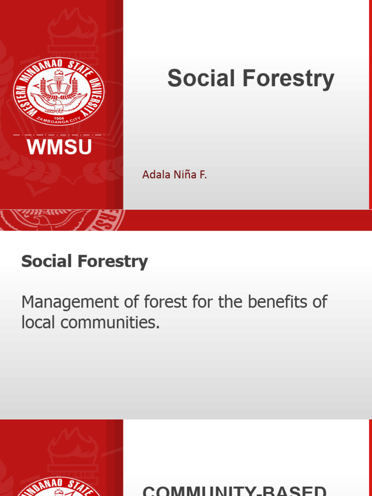 Sffg 104 group 1 pdf forestry forests