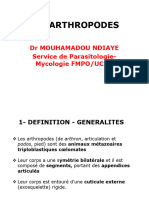 ARTHROPODES