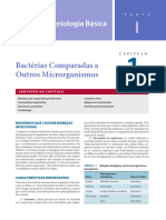 Bactérias Comparadas A Outros Microrganismos: Bacteriologia Básica