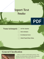 Report Text Snake
