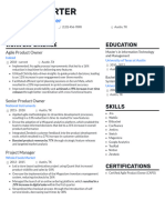 Agile Product Owner Resume Example