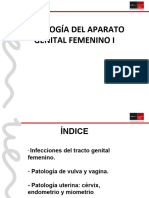 Tema 36. Patología Del Aparato Genital Femenino I