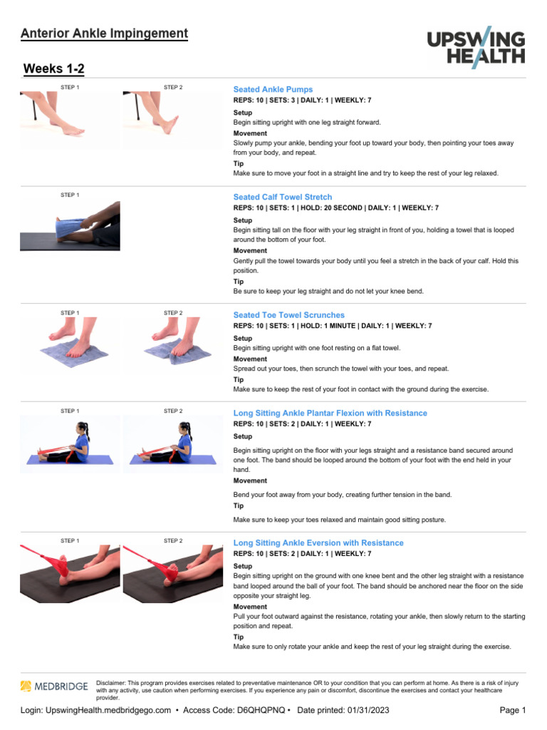Anterior Ankle Impingement, PDF, Anatomical Terms Of Motion