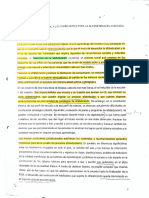 La Alfabetización Inicial y Las Condiciones para La Alfabetización Avanzada