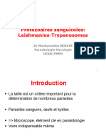 TP Leishmanies-Trypanosomes - Filaires UCAD 2017