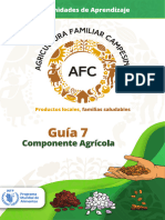 07 - Componente Agrícola