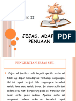 Jejas, Adaptasi, Penuaan Sel