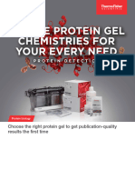 Precast Protein Gels Brochure