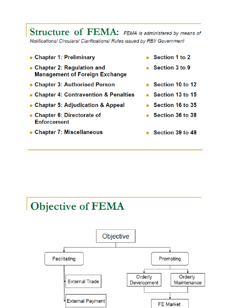 Fema Act. | PDF