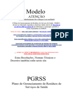 Modelo Pgrss(1)
