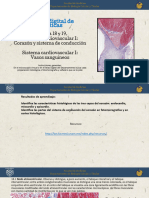 Copia de PRACTICA 18 y 19. Sistema Cardiovascular 2