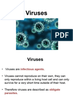 11 LS Viruses Part 1