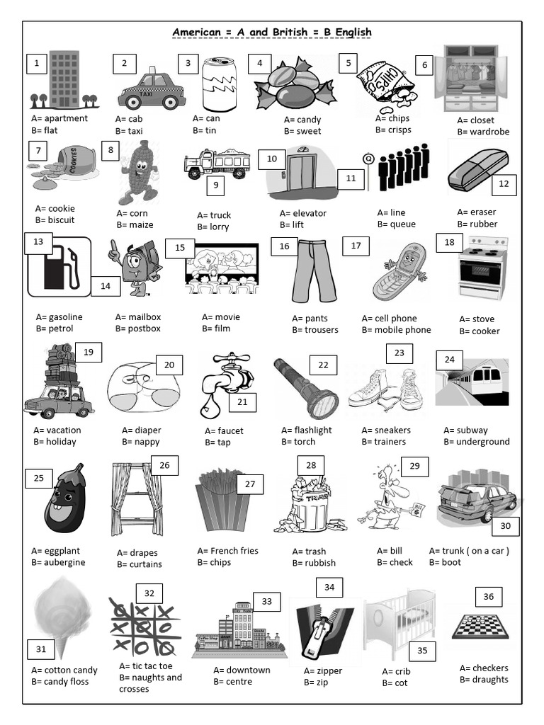 american-english-x-british-english-picture-dictionaries-a1-pdf