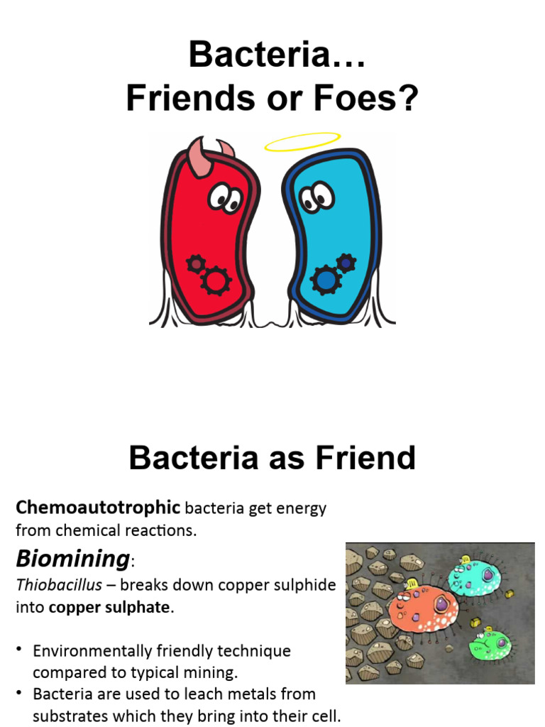 11 1 ls bacteria friends or foes pdf antimicrobial resistance