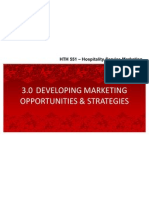 3.0 Developing Marketing Opportunities and Strategies (1)