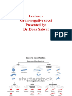 Lecture - Gram Negative Cocci