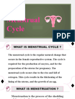 Menstrual Cycle