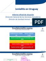 Informe de Situación Actualizado de Encefalomielitis en Uruguay