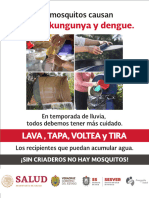 Los Mosquitos Causan Zika Dengue y Chikungunya