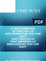 Stiu Cine Sunt