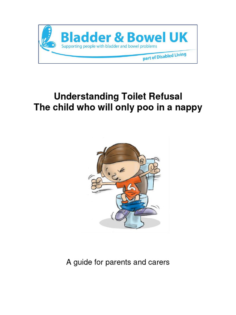 Understanding Toilet Refusal The Child That Will Only Poo in A Nappy