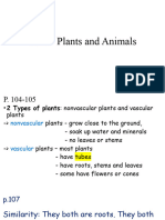 01 Unit 3 Plants and Animals