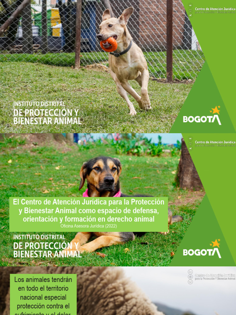 Defensa Jurídica para el Bienestar Animal | PDF | Bienestar de los ...