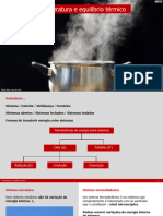 10ano F 3 1 Temperatura e Equilibrio Termico