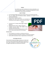 DENGUE Tarea Infecto