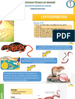 Exposicion Leptospirosisss