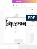 Calligraphy and Lettering Generator