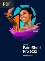 Paintshop Pro 2022