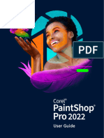 Paintshop Pro 2022