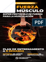 Programa de Entrenamiento Mas Fuerza Mas Musculo Entrenamiento Diferencial