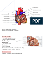 Cardiología