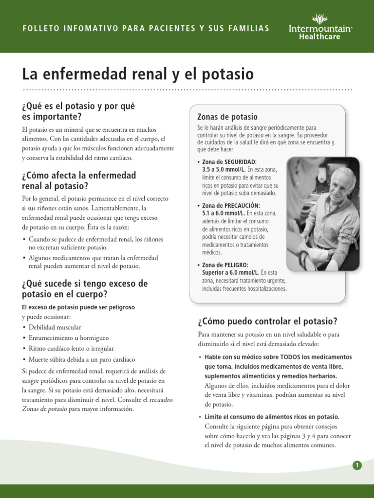 Control del potasio en dieta renal | PDF | Potasio | Química