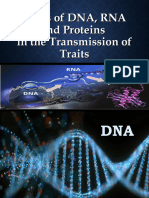 Q2 Lesson 4 Roles of DNA RNA and Proteins