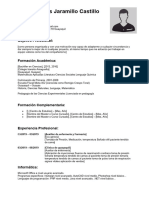 curriculum-vitae-cronologico (2)