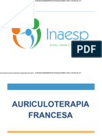 Auriculoterapia Francesa - Inaesp