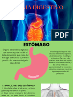 Sistema Digestivo