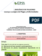 Control Biologico Pulgones